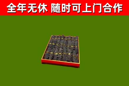 郁南回收海参
